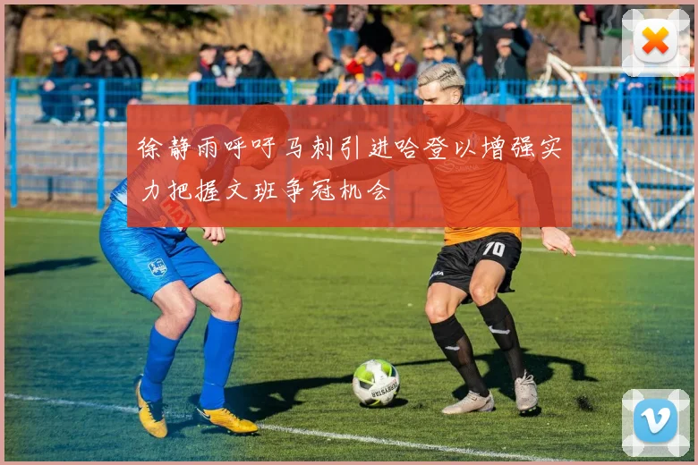 徐静雨呼吁马刺引进哈登以增强实力把握文班争冠机会