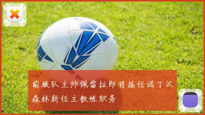 前狼队主帅佩雷拉即将接任诺丁汉森林新任主教练职务